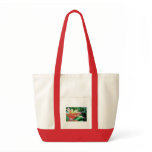 S.F._conservatory flower, bag
