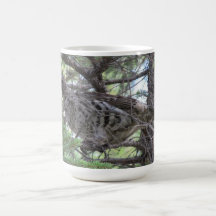 S Flaming Gorge Utah Fauna Birds Aves Animals Mugs
