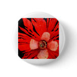 (s)Frilly Red Poppy buttons