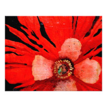 (s)Frilly Red Poppy Custom Announcement