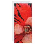(s)Frilly Red Poppy rack cards