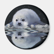 S.O.S. SAVE OUR HARP SEALS MAGNET