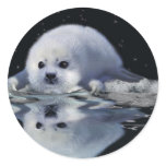 S.O.S. SAVE OUR HARP SEALS stickers