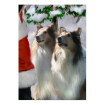 Sable Rough Collie Christmas Gifts Business Cards