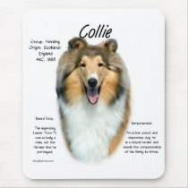 Sable Rough Collie Meet the Breed