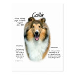 Sable Rough Collie Meet the Breed Postcards