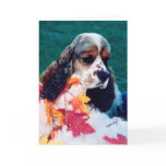 Sable white Cocker Spaniel cards