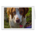 Sabrina Brittany  cards