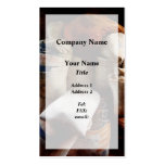 Sacks of Feed Business Card