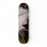 Sacred Datura Flower From Anza Borrego Desert skateboards