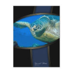 SACRED HONU postcards