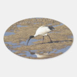 Sacred Ibis Oval Sticker