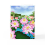 Sacred Lotus Flowers cards