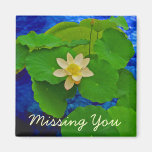 Sacred Lotus Refrigerator Magnets