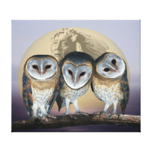 Sacred owls canvas print