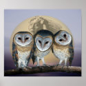 Sacred owls posters