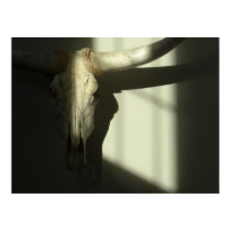 Sacred Skull posters