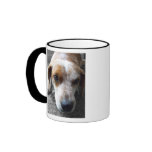Sad Beagle Mix Mugs