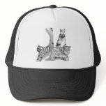 Sad cats hats