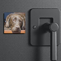 Sad Chocolate Labrador