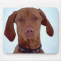 Sad Dog mousepads