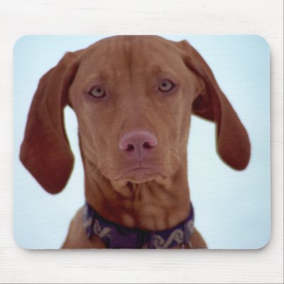 Sad Dog Mousepads by PhotoJoeVa