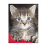 Sad Kitten - I MISS YOU Postcard