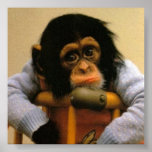Sad monkey picture poster posters