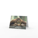 Sad Orangutan Missing You cards