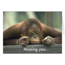 Sad Orangutan Missing You Greeting Cards