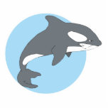 sad orca whale photo sculptures