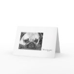 Sad Pug Greeting Cards