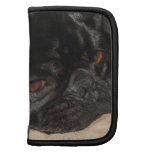 Sad Pug Folio Planner