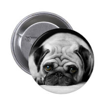 Sad Pug Pin