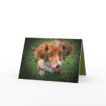 Sad Pup Friendship cards