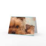 Sad Puppy Card