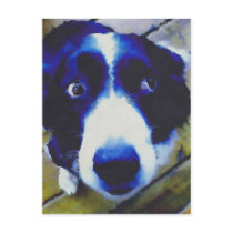 Sad Puppy Dog Eyes Painted Style Post Cards