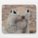 Sad Squirrel Mousepad