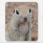 Sad Squirrel Mousepad