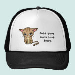 Sad Tabby cat Kitten hats