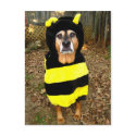 Saddest Bee Postcard