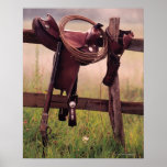 Saddle and lasso on fence poster