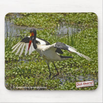 Saddle-billed Stork mousepads