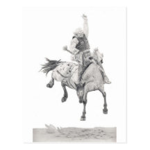 Saddle Bronc Postcard