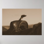 Saddle Horn Print
