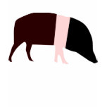 Saddleback Pig Kids T Shirt