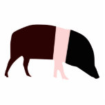 Saddleback Pig Photo Sculpture photo sculptures