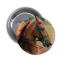 Saddlebred Faux Painting Pinback Button