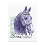 Saddlebred Head Study, Blue Post Cards