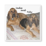 Sadie and Toby 1 Fridge Magnet